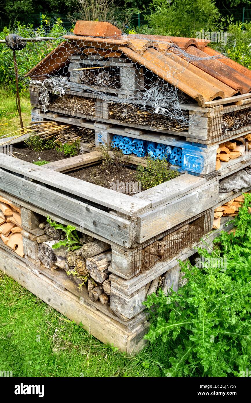 Bug Hotel Regno Unito Foto Stock