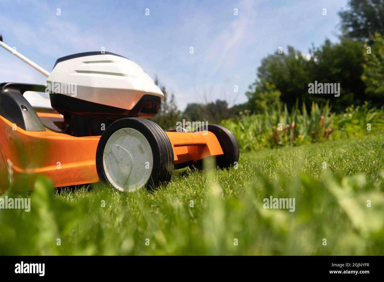 Un rasaerba è al bel prato verde floreale cortile. Foto Stock