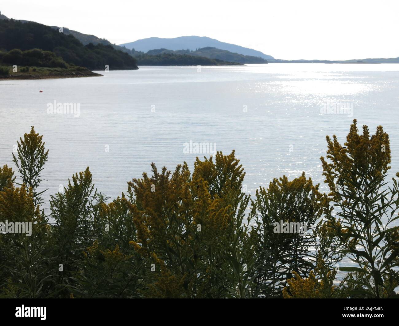 Tour delle Highlands scozzesi: Vista romantica che si affaccia sulle calme acque di Loch Melfort e il profilo delle lontane isole al tramonto Foto Stock