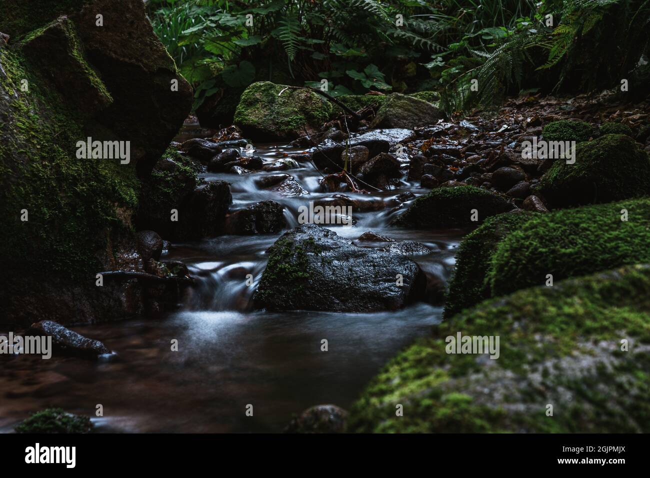 cascate di allerheiligen della foresta nera (Schwarzwald), Baden-Wuerttemberg, Germania Foto Stock