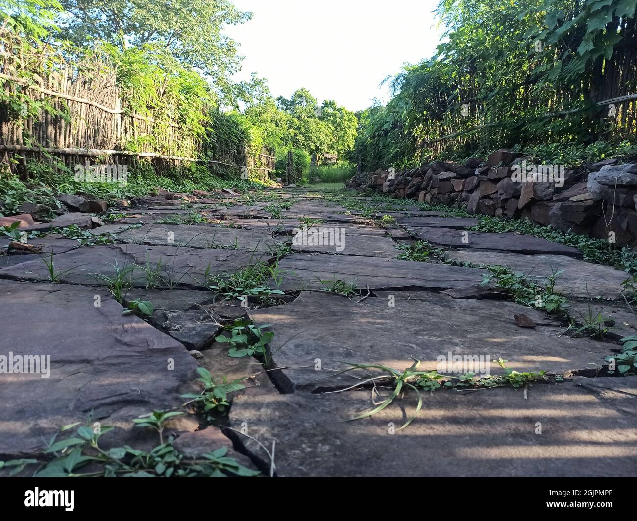 Museo umano a Bhopal madhya pradesh in india centrale Foto Stock