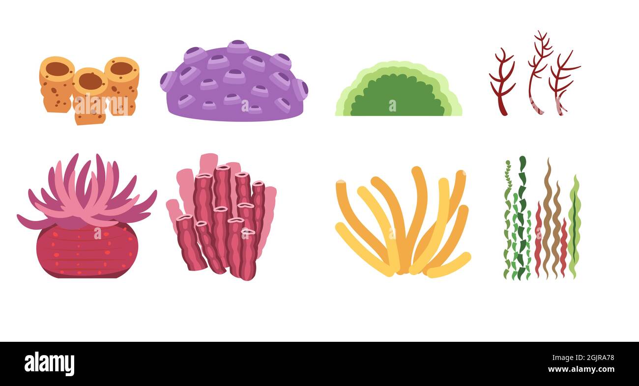 Set di coralli marini, piante e alghe. Mondo subacqueo. Acquario o laghetto. Acqua estiva. Isolato su sfondo bianco. Illustrazione in stile cartone animato Illustrazione Vettoriale