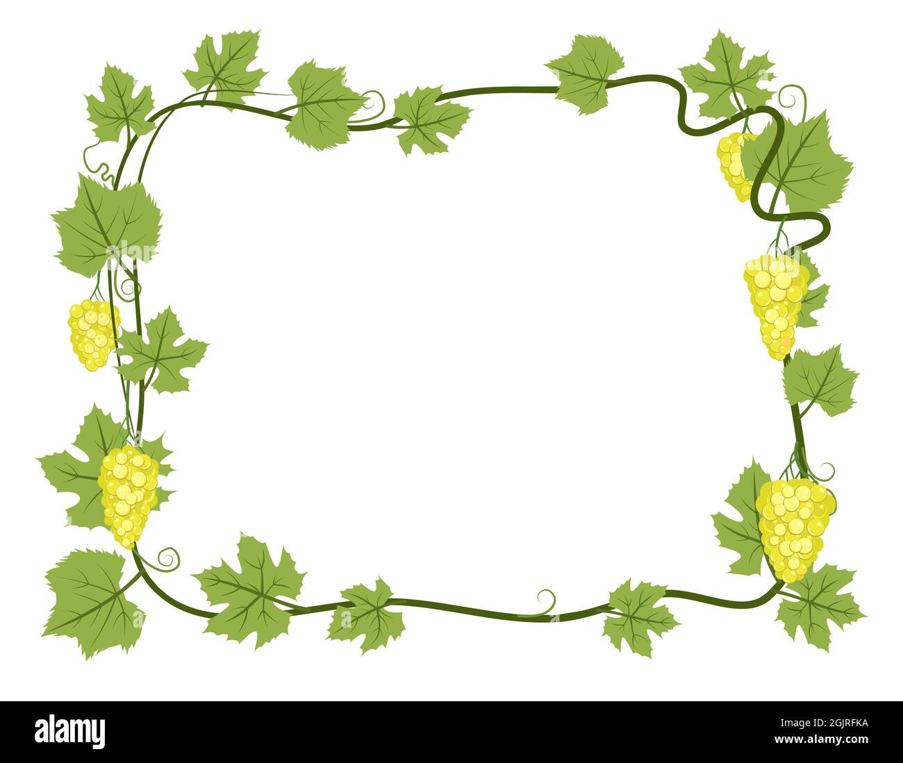 Cornice rettangolare. Vite con fogliame e grappoli di uva. Viticoltura e agricoltura. Rami con bacche su un bosco denso. Vigneto giovane. Dolce Illustrazione Vettoriale