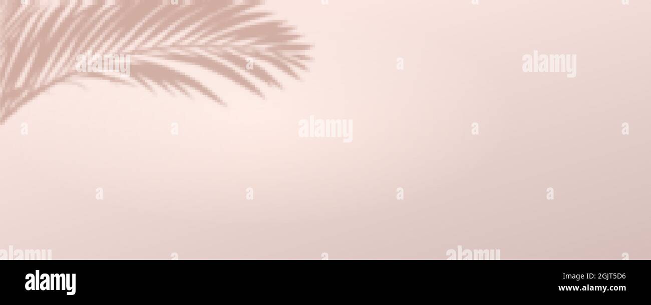 Ombra di foglie di palma sul muro. Sfondo astratto, scena per la visualizzazione del prodotto. Illustrazione vettoriale Illustrazione Vettoriale