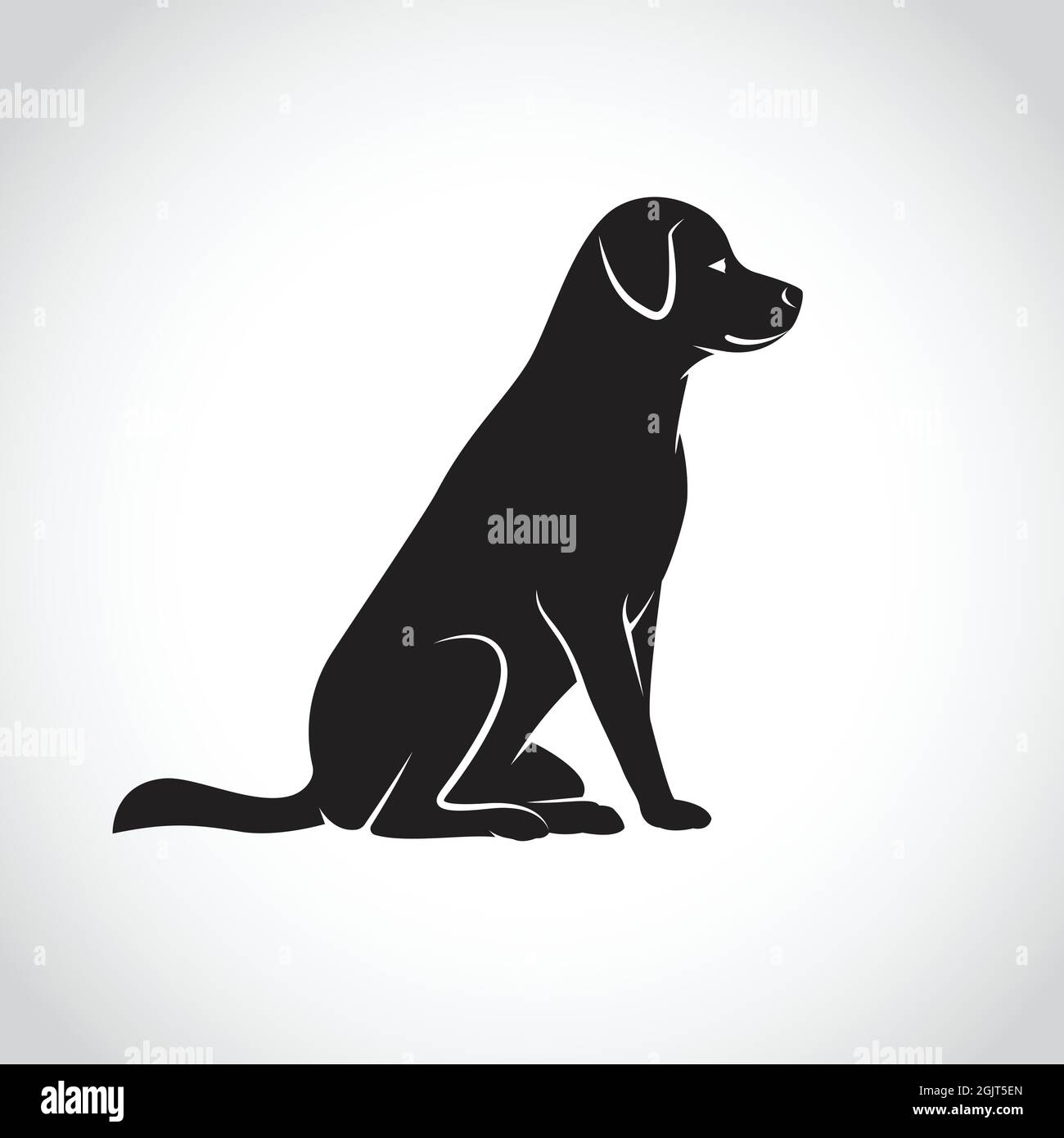 Immagine vettoriale di un cane labrador su sfondo bianco. Illustrazione vettoriale a livelli facilmente modificabile. Animale da fattoria. PET. Illustrazione Vettoriale