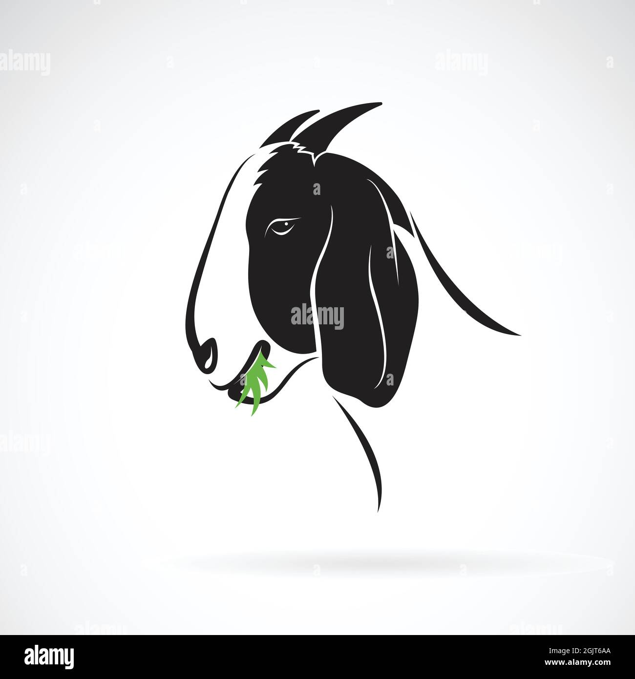 Vettore di testa di capra che sta mangiando erba su sfondo bianco. Fattoria di animali. Illustrazione vettoriale a livelli facilmente modificabile. Illustrazione Vettoriale