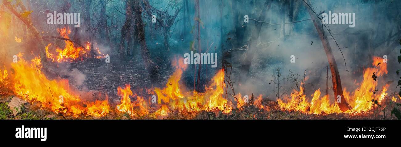Incendi boschivi africani nel bacino del Congo, Africa centrale Foto Stock