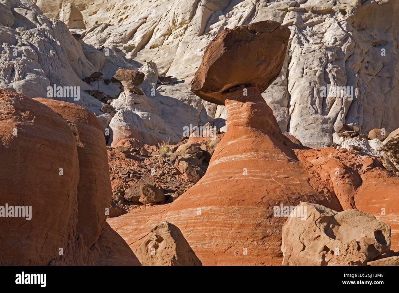 Valle superiore della zona BLM 'Toadsgools' Foto Stock