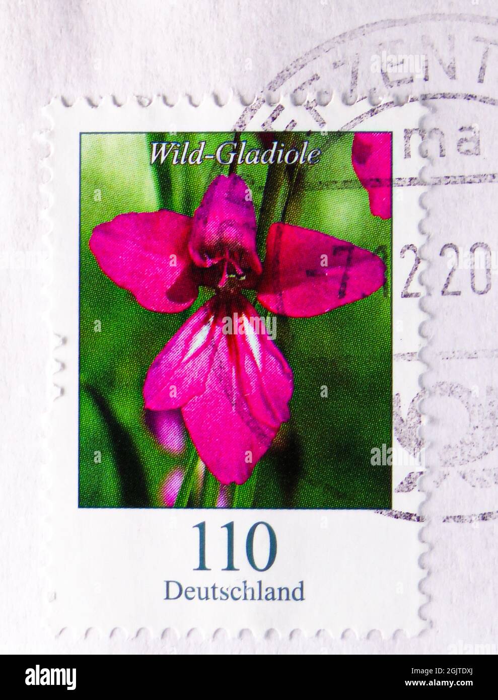 MOSCA, RUSSIA - 09 GIUGNO 2021: Francobollo stampato in Germania mostra Gladiola selvaggia (Gladiolus illyricus), Flowers definitives (2005-present) serie, Foto Stock