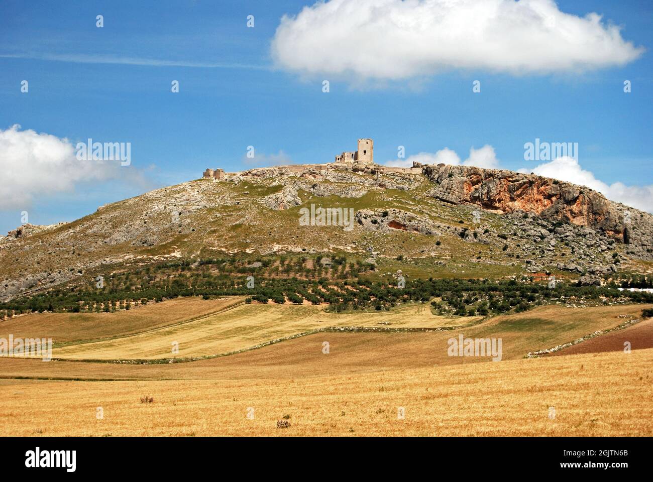 Vista attraverso campi di grano verso Star Castle sulla collina, Teba, provincia di Malaga, Andalusia, Spagna, Europa occidentale Foto Stock