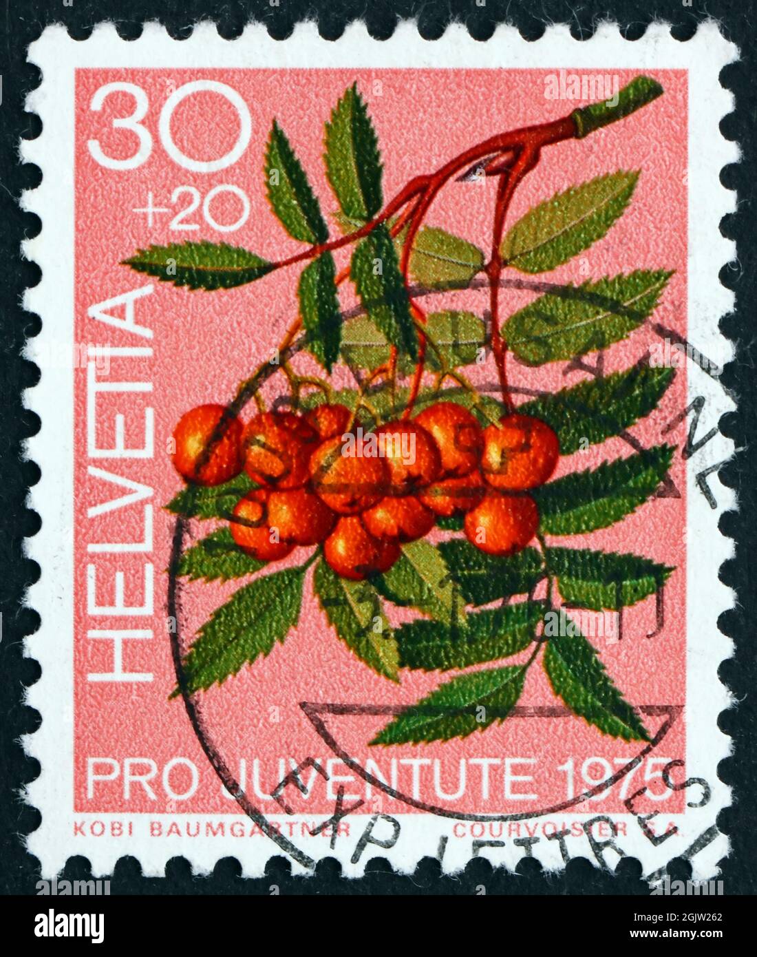SVIZZERA - CIRCA 1975: Un francobollo stampato in Svizzera mostra i Berries di Frassino di montagna, Sorbus Aucuparia, stabilimento forestale, circa 1975 Foto Stock