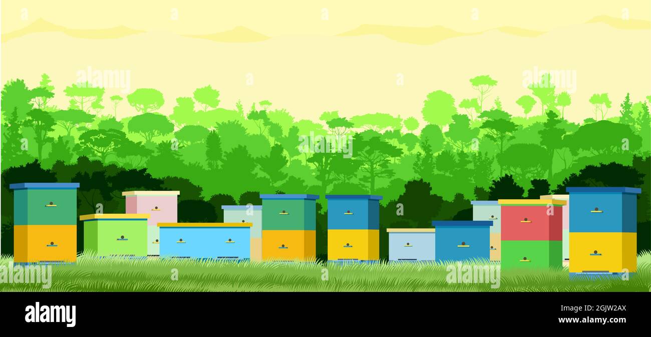 Apiario. Paesaggio rurale fattoria con alveare di api in un prato estivo. Un prato sul bordo di una foresta pluviale, giungla. Illustrazione dell'apicoltore con alveare. Vet Illustrazione Vettoriale