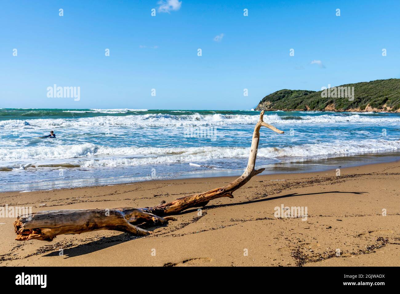 La spiaggia sabbiosa del Golfo di Baratti, nel comune di Piombino, lungo la Costa degli Etruschi, provincia di Livorno, Toscana, Italia Foto Stock