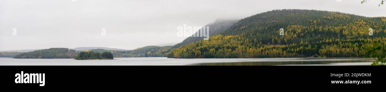 Höga Kusten colline con foresta in colori autunnali, Svezia Foto Stock