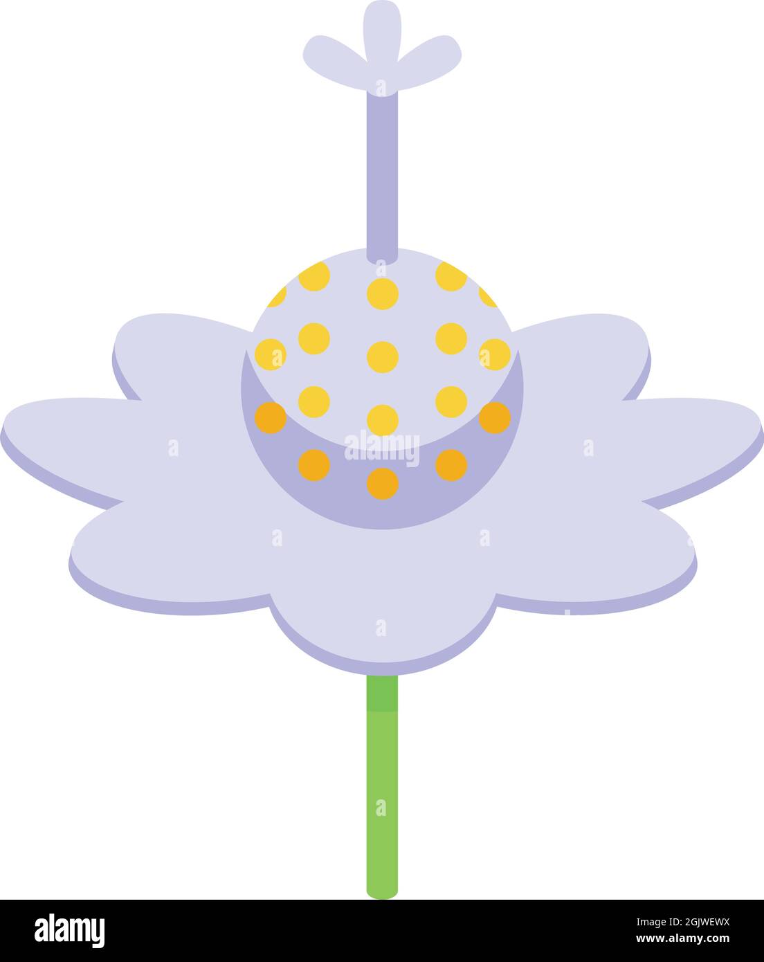 Baobab fiore icona vettore isometrico. Albero africano. Tronco Angola Illustrazione Vettoriale