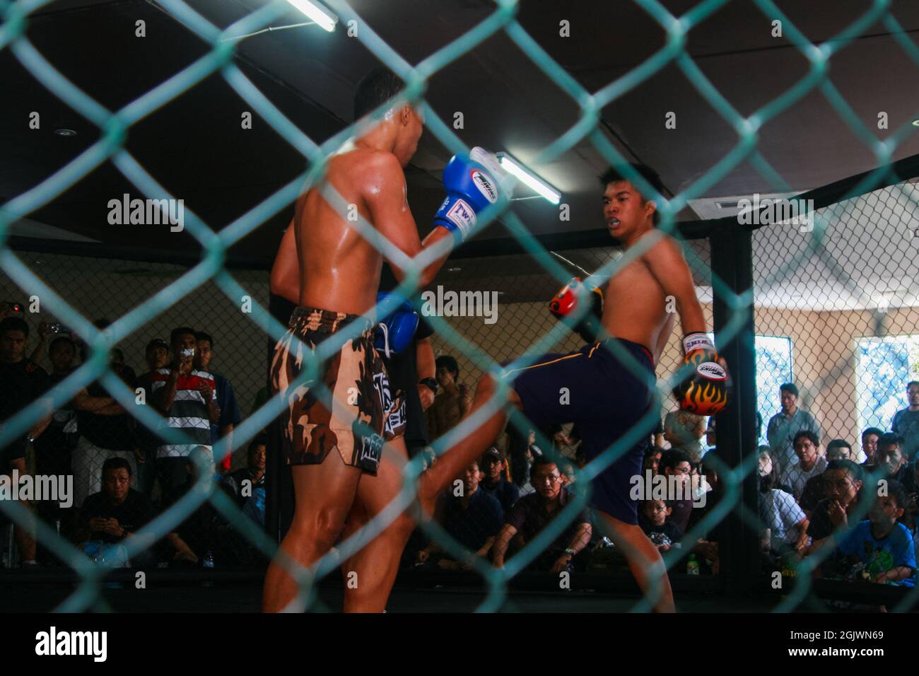 Due combattenti MMA (Mixed Martial Arts) stanno combattendo in un campionato e il pubblico sta guardando da dietro gabbie di filo. Foto Stock