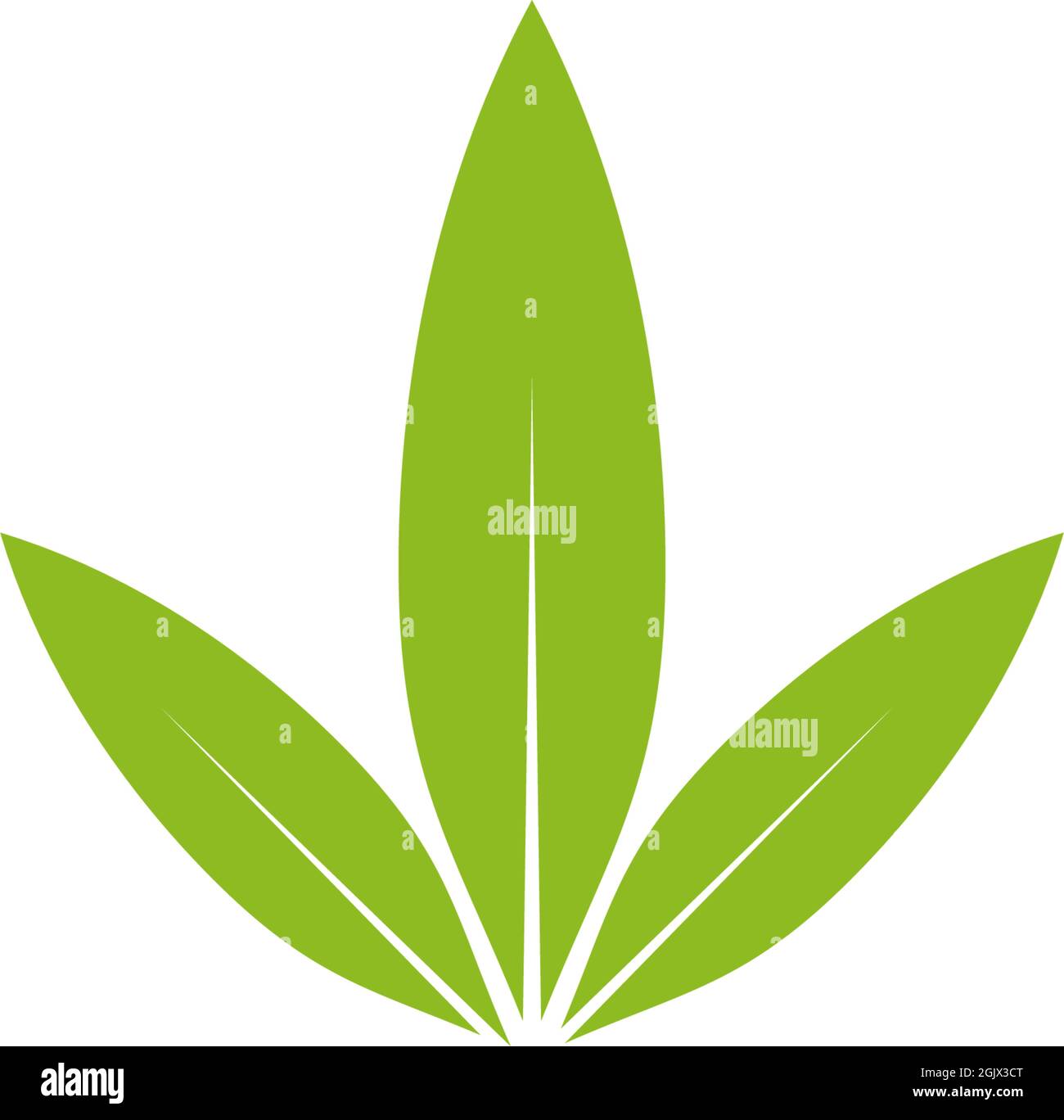 Modello vettore ispirazione logo foglia di cannabis Illustrazione Vettoriale