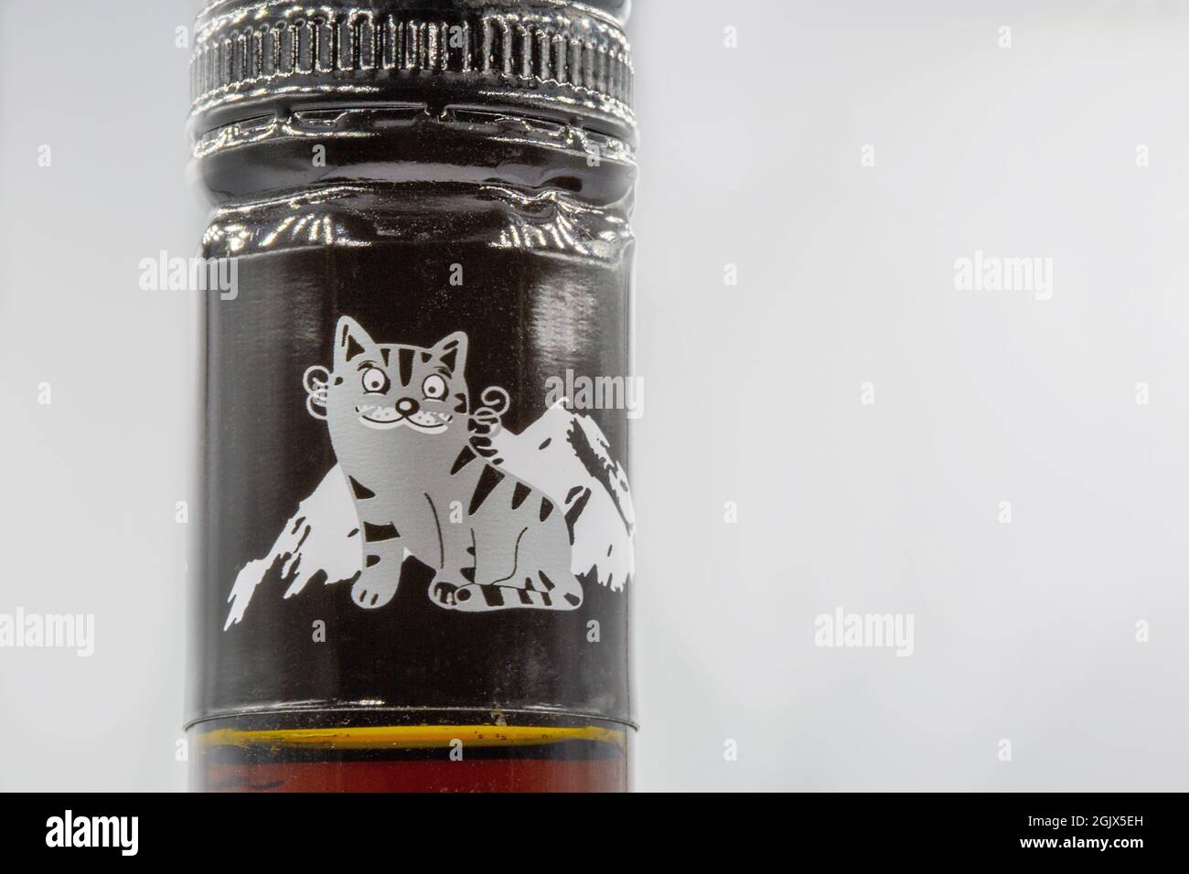 KIEV, UCRAINA - 27 MARZO 2021: Studio Shoot of ucraino Cotnar Monte Cote Rubino vino rosso secco collo bottiglia con gatto e montagna closeup contro il whit Foto Stock