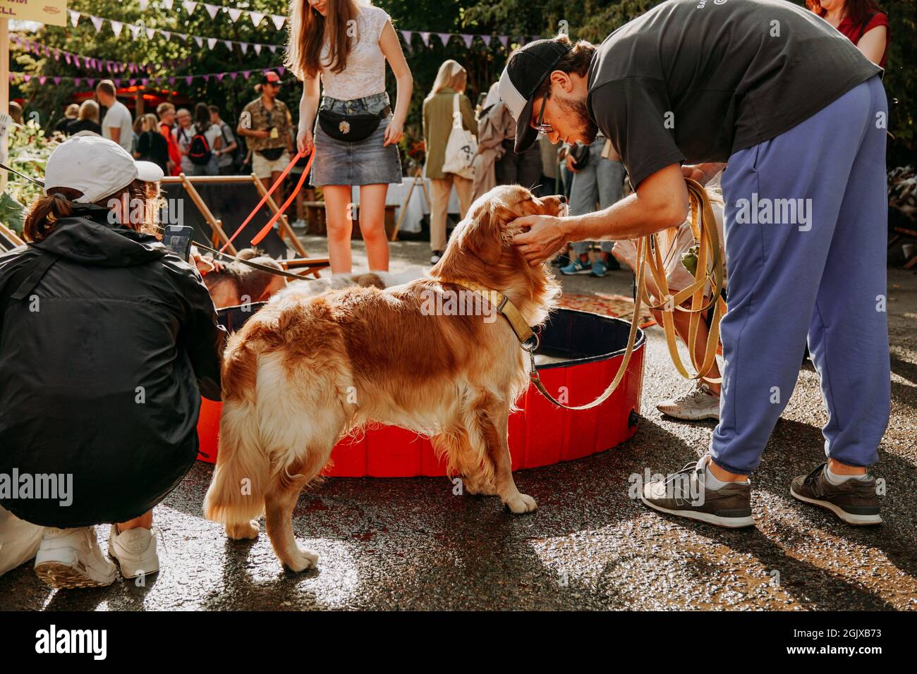 11 settembre 2021 Minsk, Bielorussia - Golden Retriever. Festa del PET nel parco della città in una giornata di sole brillante. Spettacolo di cani. Vacanza Foto Stock