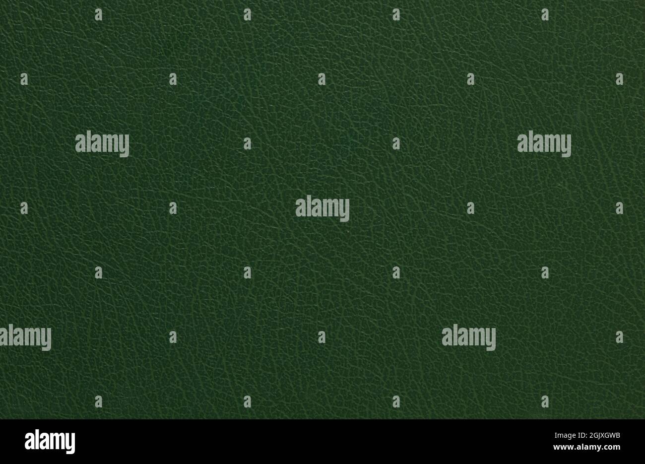 Sfondo tessuto verde. Illustrazione vettoriale per un design naturale. Copertina del libro. Foto Stock