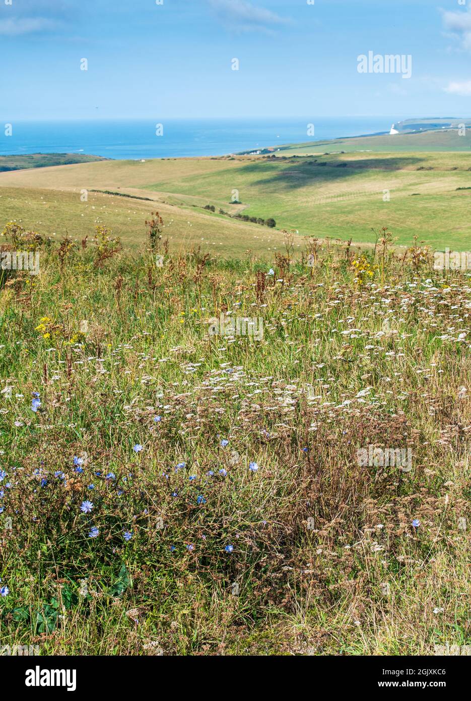 Una vista da Beaachy dirigersi verso Birling Gap Foto Stock