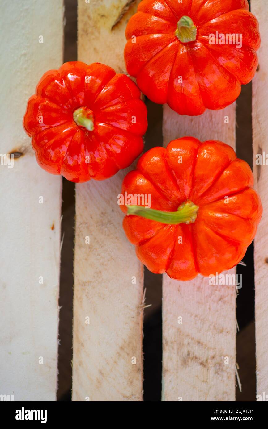 piccole zucche arancioni su sfondo di legno si trovano Foto Stock