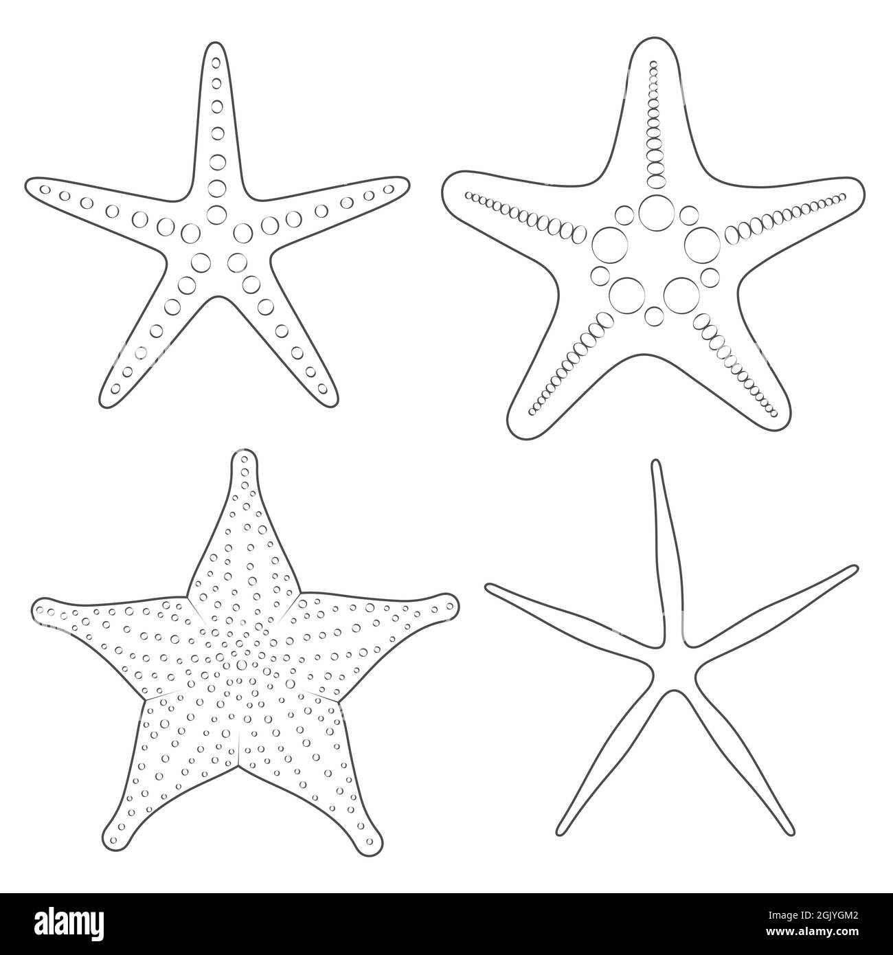 Set di immagini grafiche in bianco e nero di stelle marine. Oggetti vettoriali isolati su sfondo bianco. Illustrazione Vettoriale