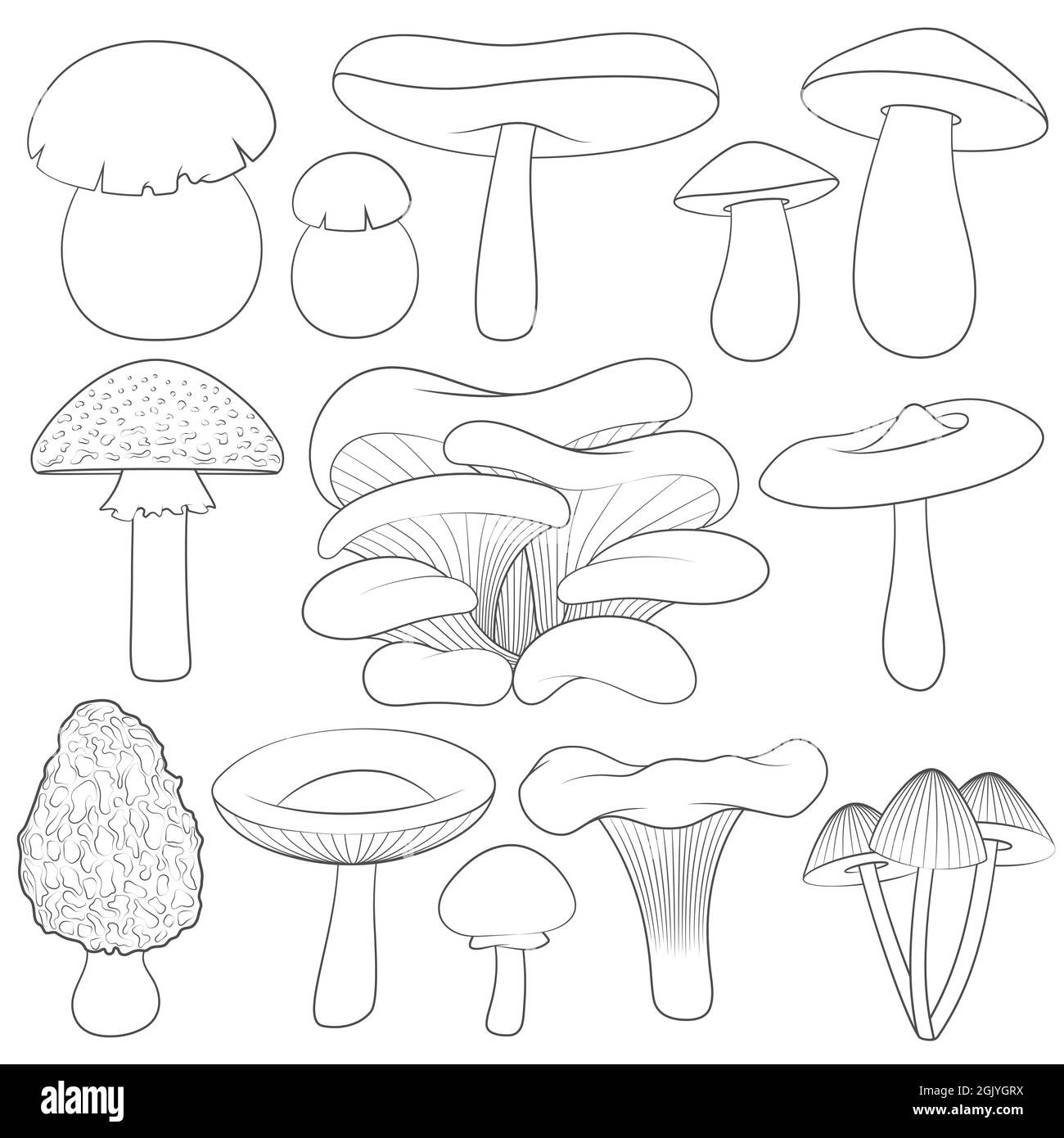 Set di immagini in bianco e nero con funghi. Oggetti vettoriali isolati su sfondo bianco. Illustrazione Vettoriale
