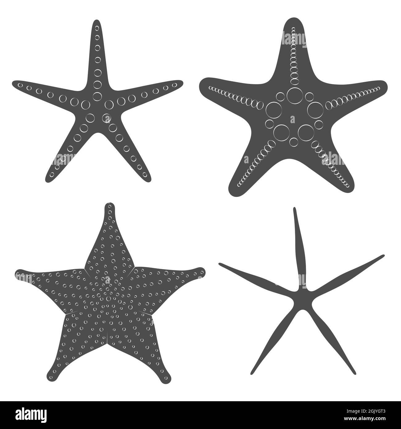Set di immagini grafiche in bianco e nero di stelle marine. Oggetti vettoriali isolati su sfondo bianco. Illustrazione Vettoriale