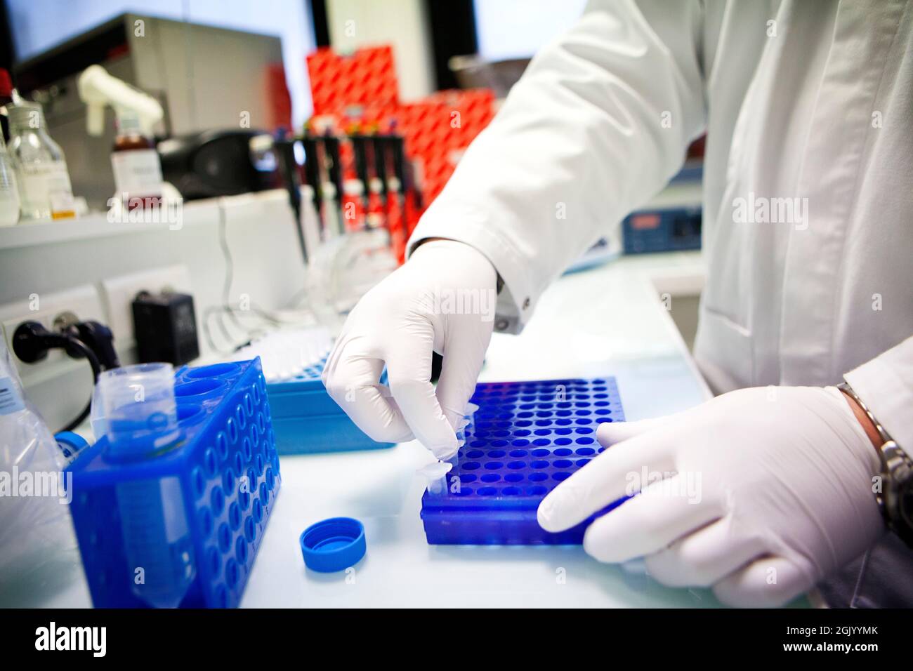 Analisi di laboratorio e risultati per testare l'efficacia di un vaccino contro l'AIDS. Foto Stock