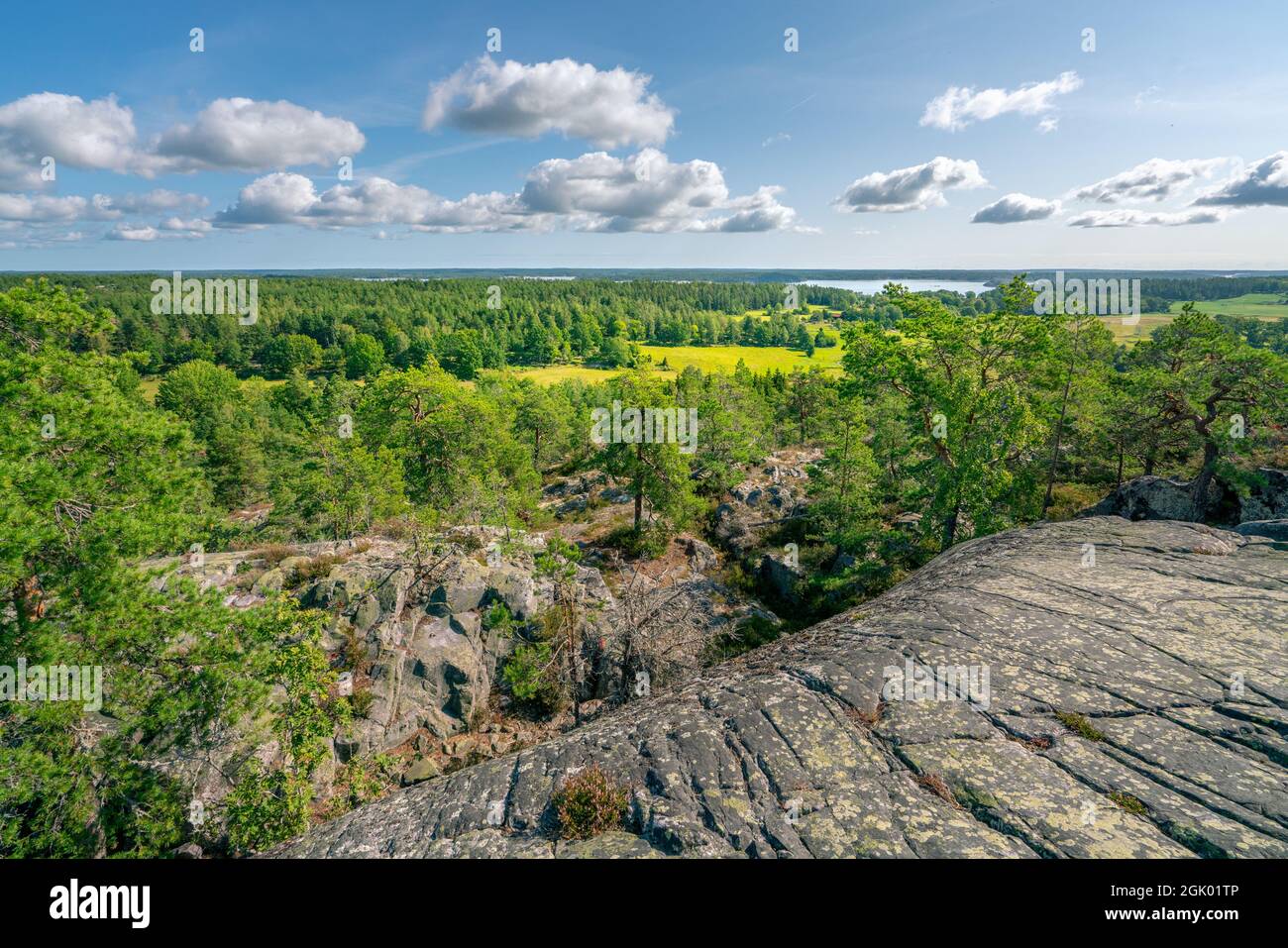Bella giornata estiva nel paesaggio svedese di riserva naturale Segersgarde. Verdi foreste, prati vista dalla cima della roccia. Vacanze estive a Foto Stock