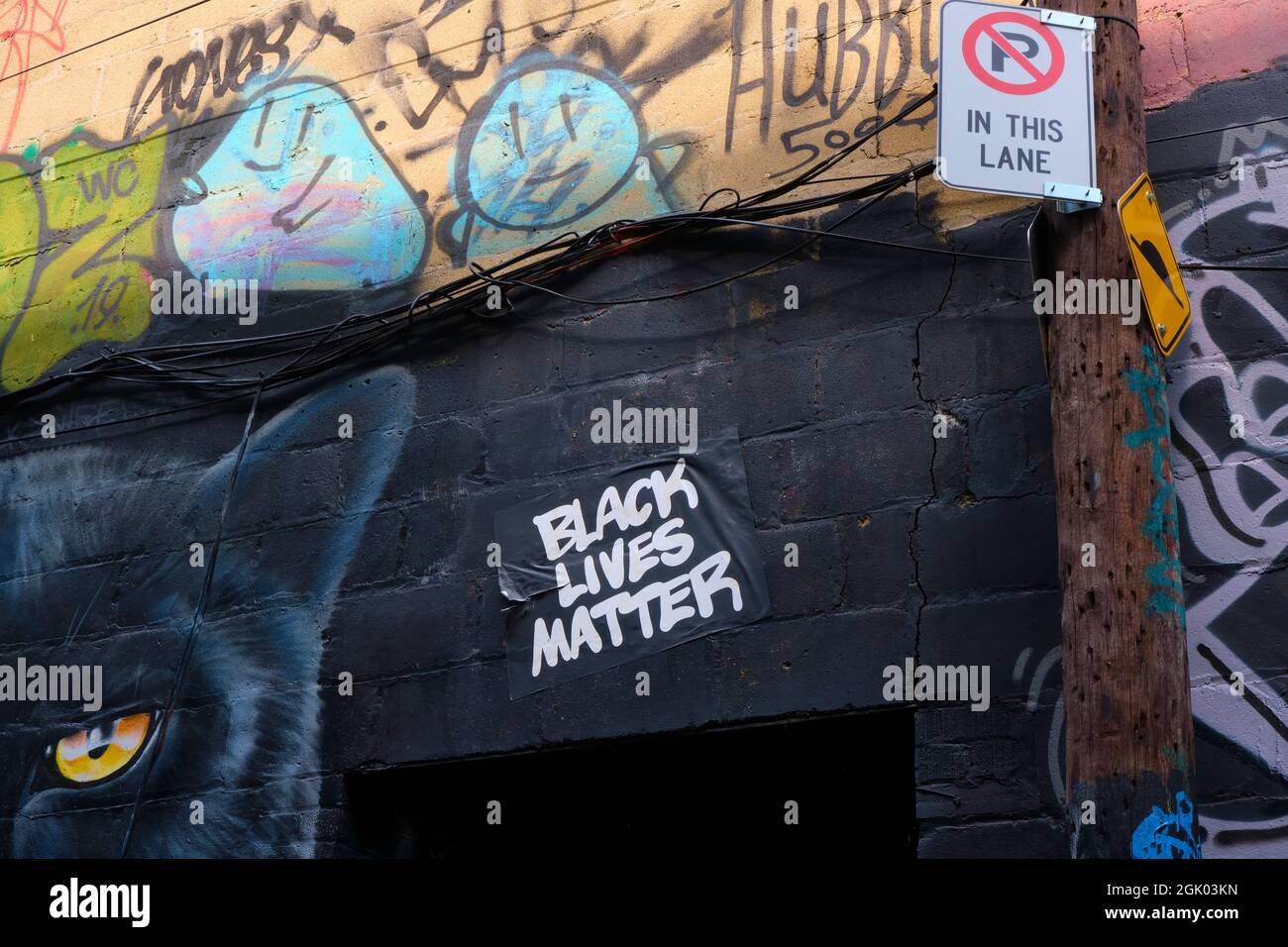 Grfitti Alley si trova all'interno del quartiere della moda nel centro di Toronto, Ontario. A tre isolati dalla Spadina Avenue a sud della Queen Stree Foto Stock