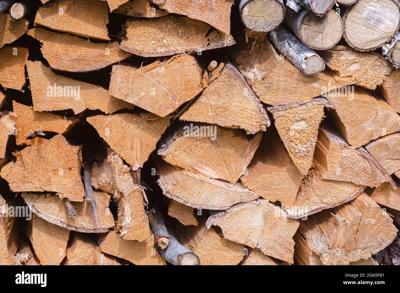 Raccogliendo per l'inverno una miscela di legna da ardere da specie diverse di alberi, ordinatamente accatastato. Legna da ardere per riscaldamento e cottura. Foto Stock