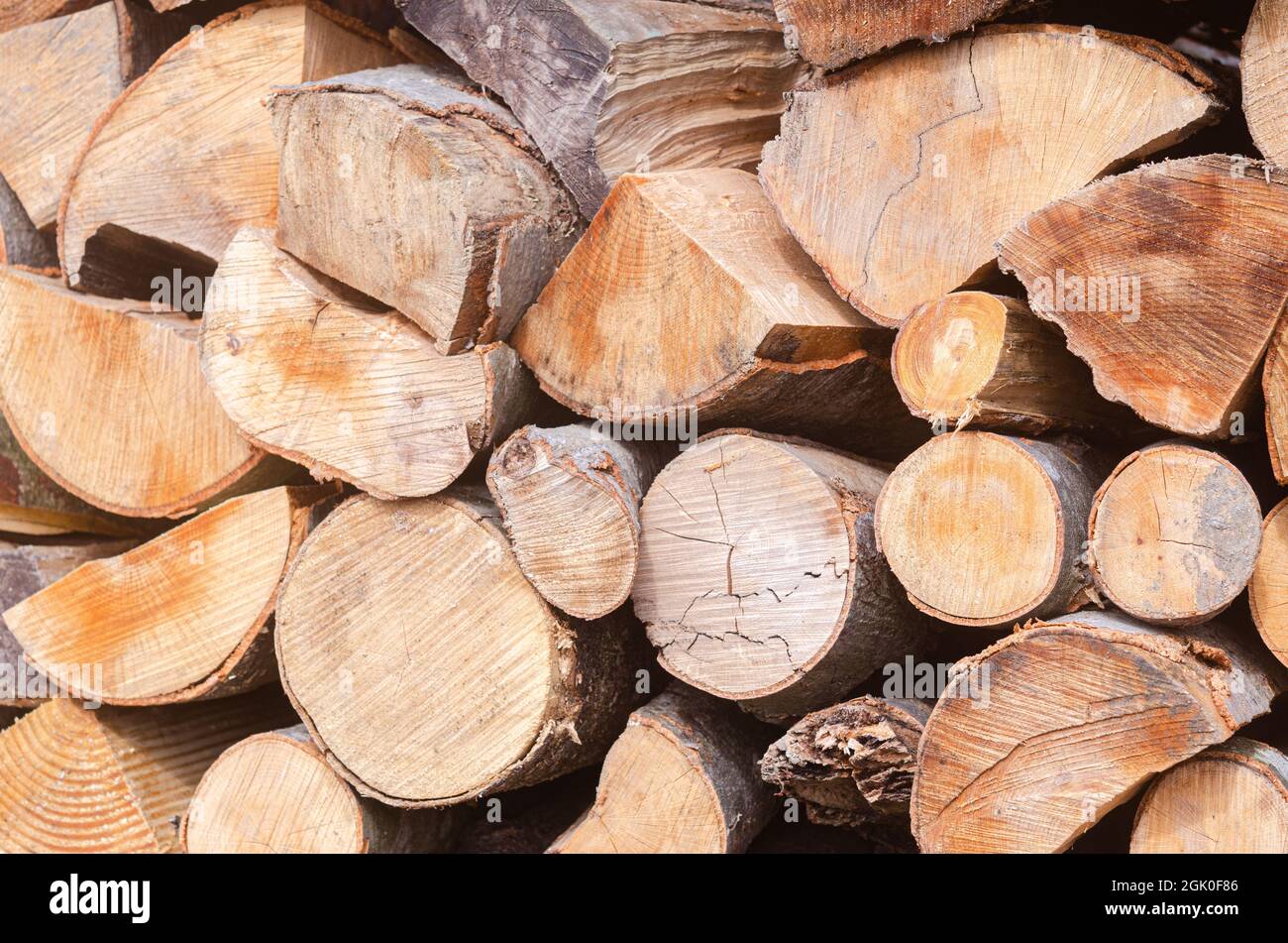 Raccogliendo per l'inverno una miscela di legna da ardere da specie diverse di alberi, ordinatamente accatastato. Legna da ardere per riscaldamento e cottura. Foto Stock