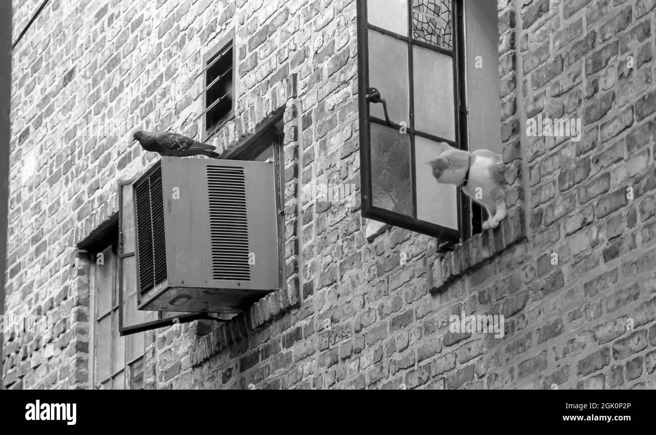 Chicago Foto Stock