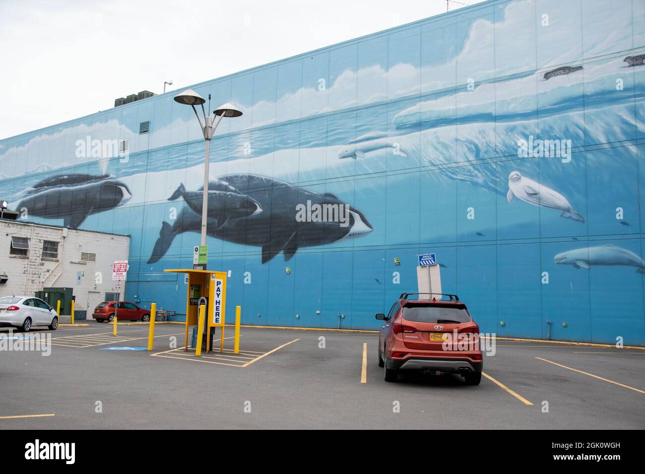 Il centro di Anchorage è pieno di arte a forma di animali come balene o alci, il che lo rende un luogo più luminoso da visitare. Foto Stock