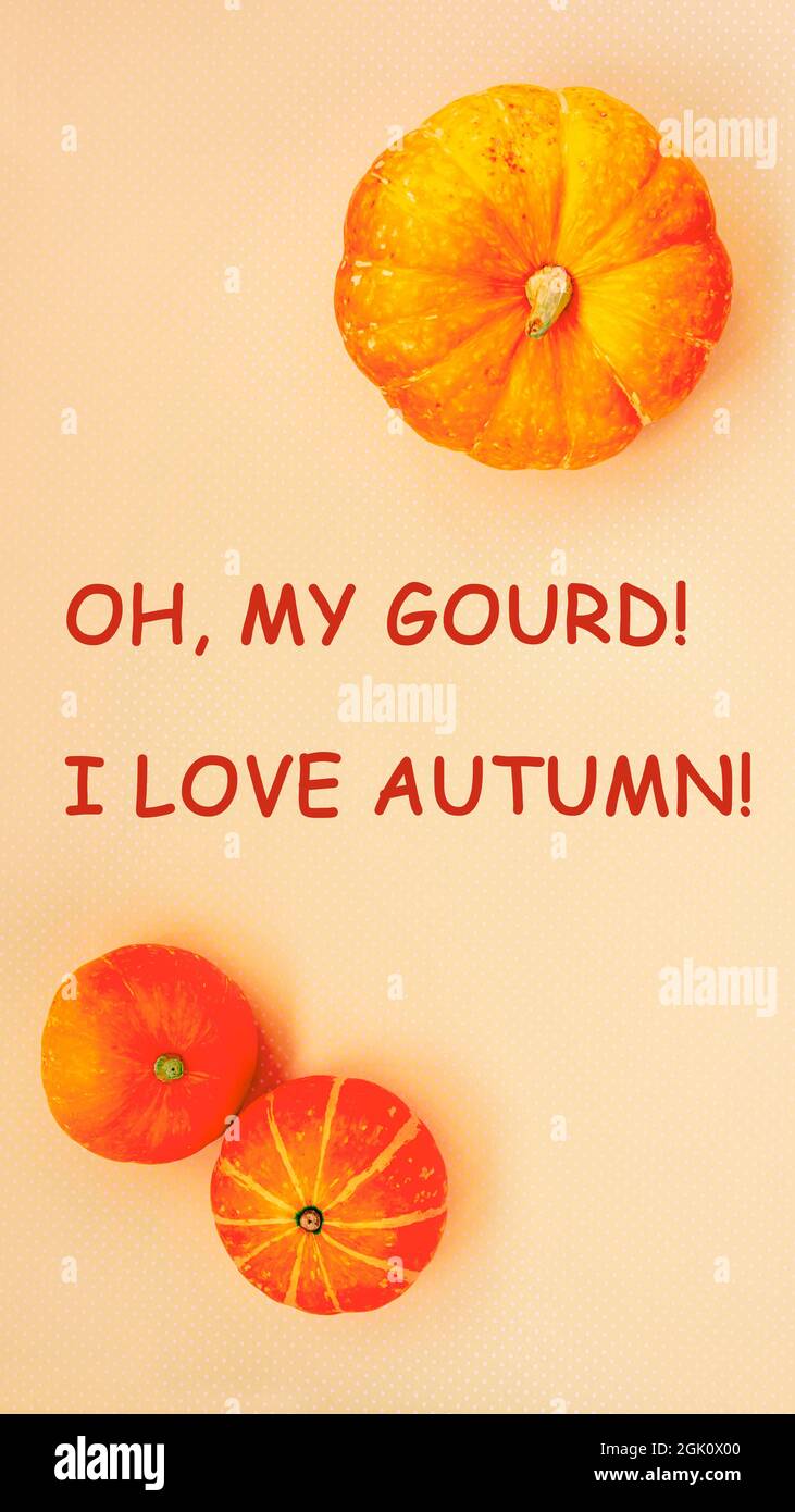 Sfondi verticali autunnali per storie di media. OH, il mio gourd amo l'autunno, testo con zucche arancioni Foto Stock