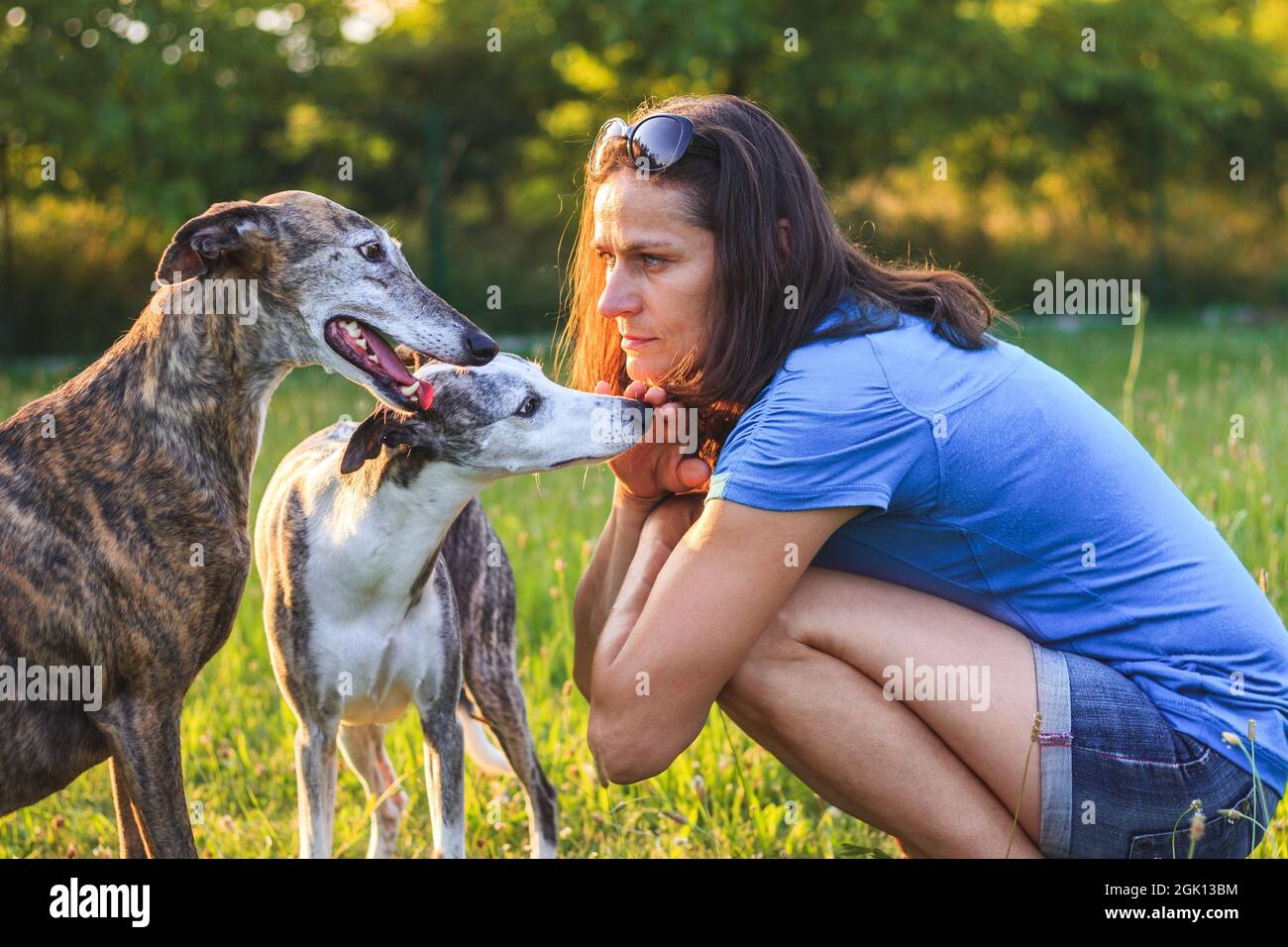 Donna e i suoi levrieri. Godimento di passare il tempo con i cani all'aperto in estate. Il proprietario di animali domestici si rilassa con il galgo spagnolo e frusta nella natura Foto Stock