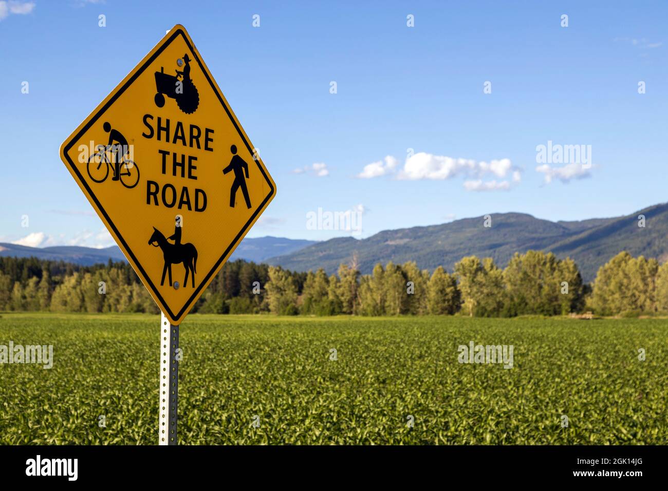 Un cartello stradale condiviso in Armstrong, British Columbia, Canada con pedoni, ciclisti, equestri, e veicoli agricoli trattore. Foto Stock