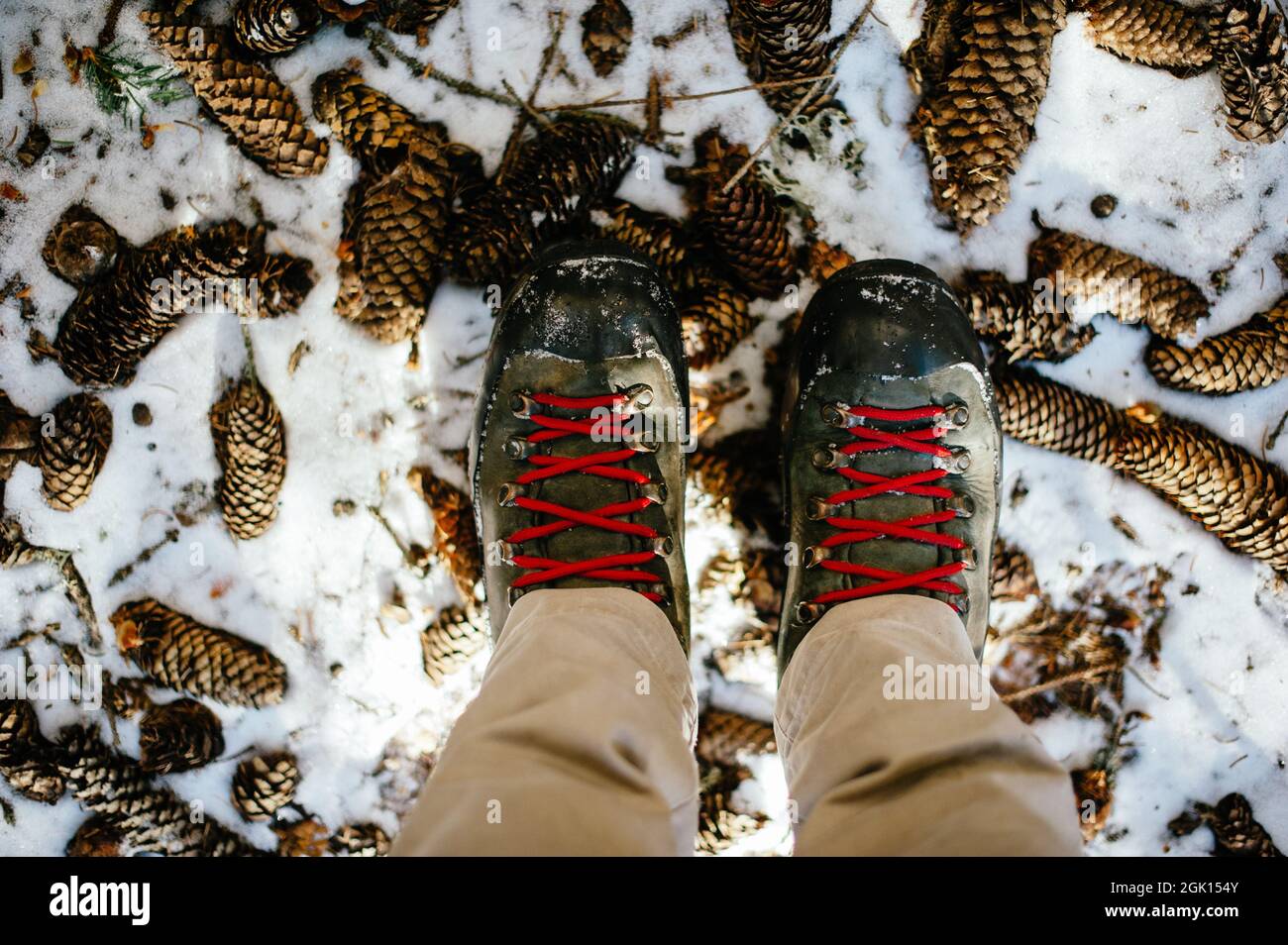 Una vista dall'alto di scarponi con lacci rossi sul terreno nevoso e con  molti coni di pino Foto stock - Alamy
