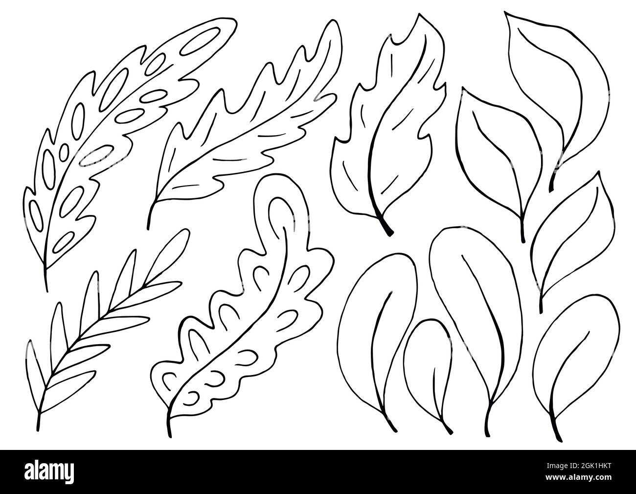 Collezione di foglie decorative verdi. Elementi monocromatici per il vostro design. Foglie di alberi, fiori. Set di illustrazioni in stile disegno a mano Illustrazione Vettoriale