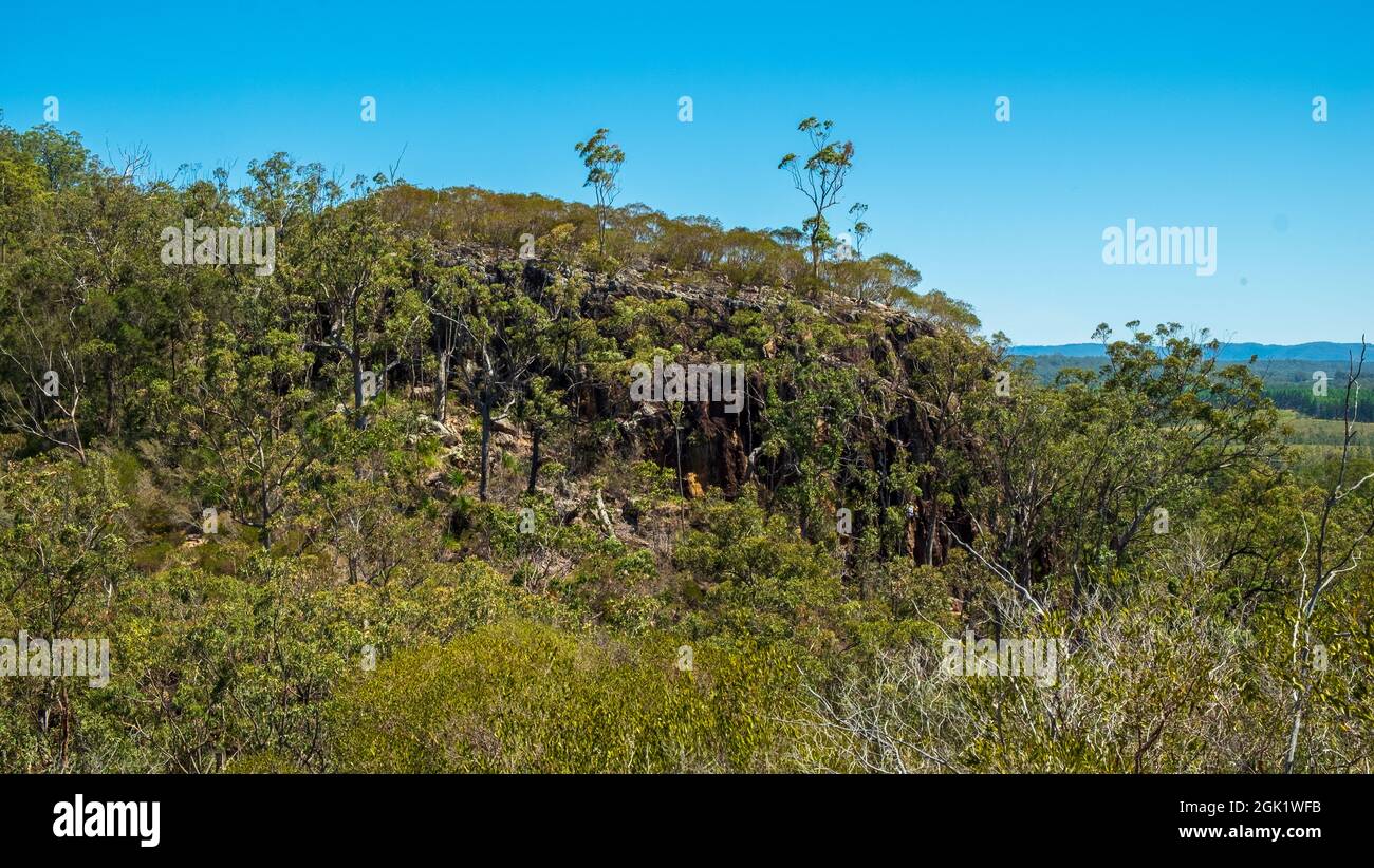 YUL-yan-man Track, Glasshouse Mountains, Queensland Foto Stock