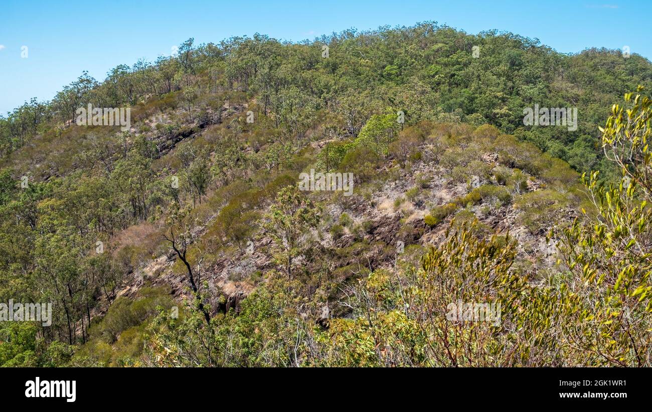 YUL-yan-man Track, Glasshouse Mountains, Queensland Foto Stock