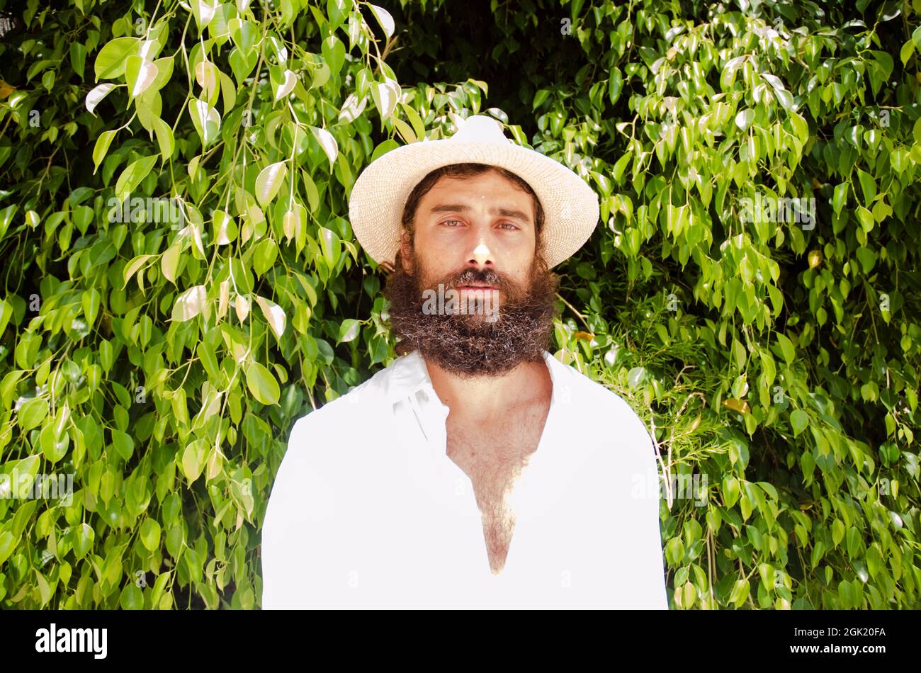 il giovane uomo con barba e capelli lunghi indossa cappello e camicia bianca circondata dal verde Foto Stock