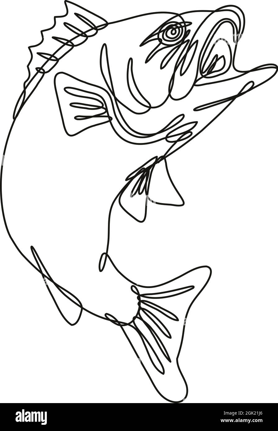 Illustrazione continua di un basso a larga altezza che salta in mono line o in bianco e nero su sfondo isolato. Illustrazione Vettoriale