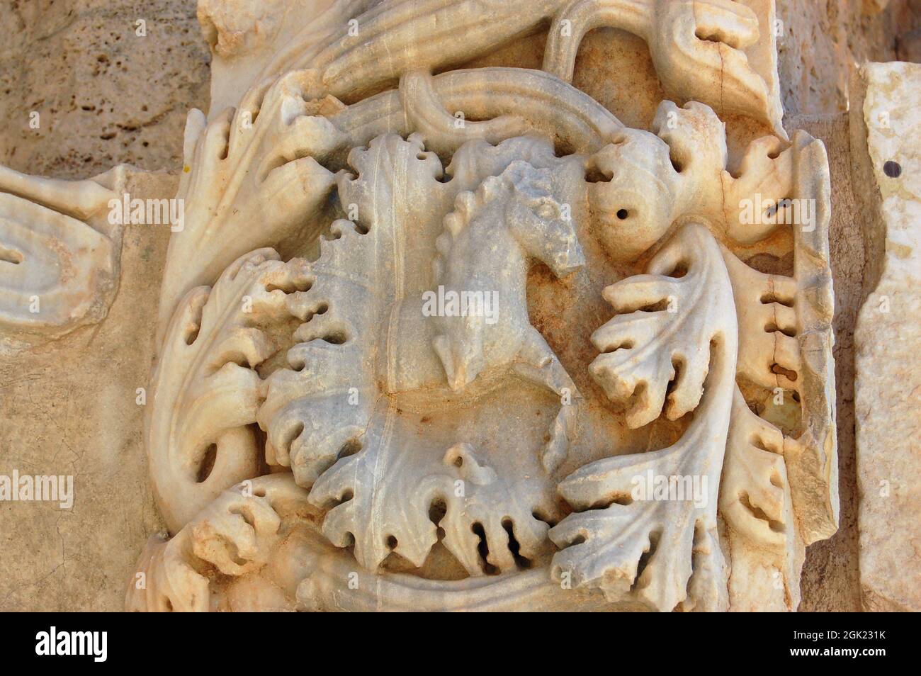 Antico bassorilievo romano intagliato di un cavallo circondato da tendri di piante sull'Arco Severan presso la storica rovina di Leptis Magna sulla costa settentrionale Foto Stock