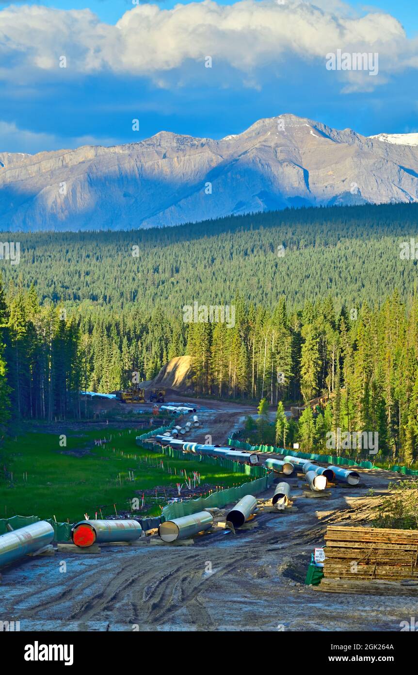 Costruzione del gasdotto petrolifero della Trans Mountain attraverso le montagne rocciose vicino a Hinton Alberta Canada Foto Stock