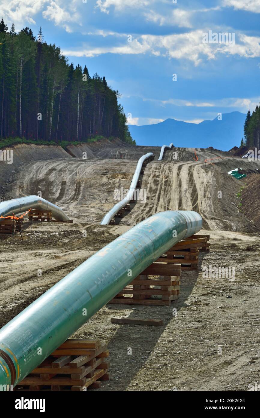 Un'immagine verticale della costruzione del gasdotto petrolifero della Trans Mountain attraverso le montagne rocciose nei pressi di Hinton Alberta Canada Foto Stock