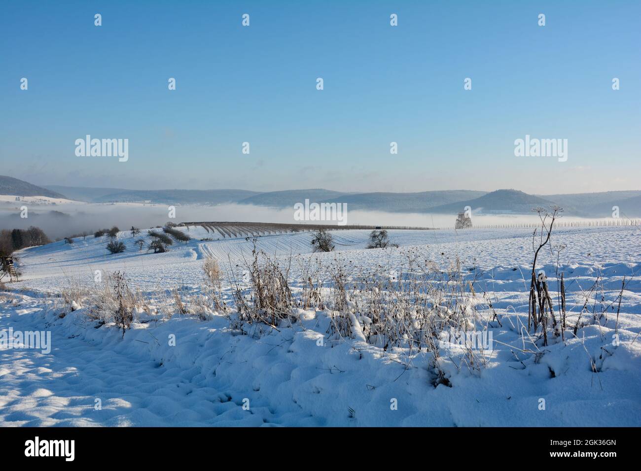 Paesaggio invernale con neve e nebbia mattutina, in Baviera, Germania Foto Stock