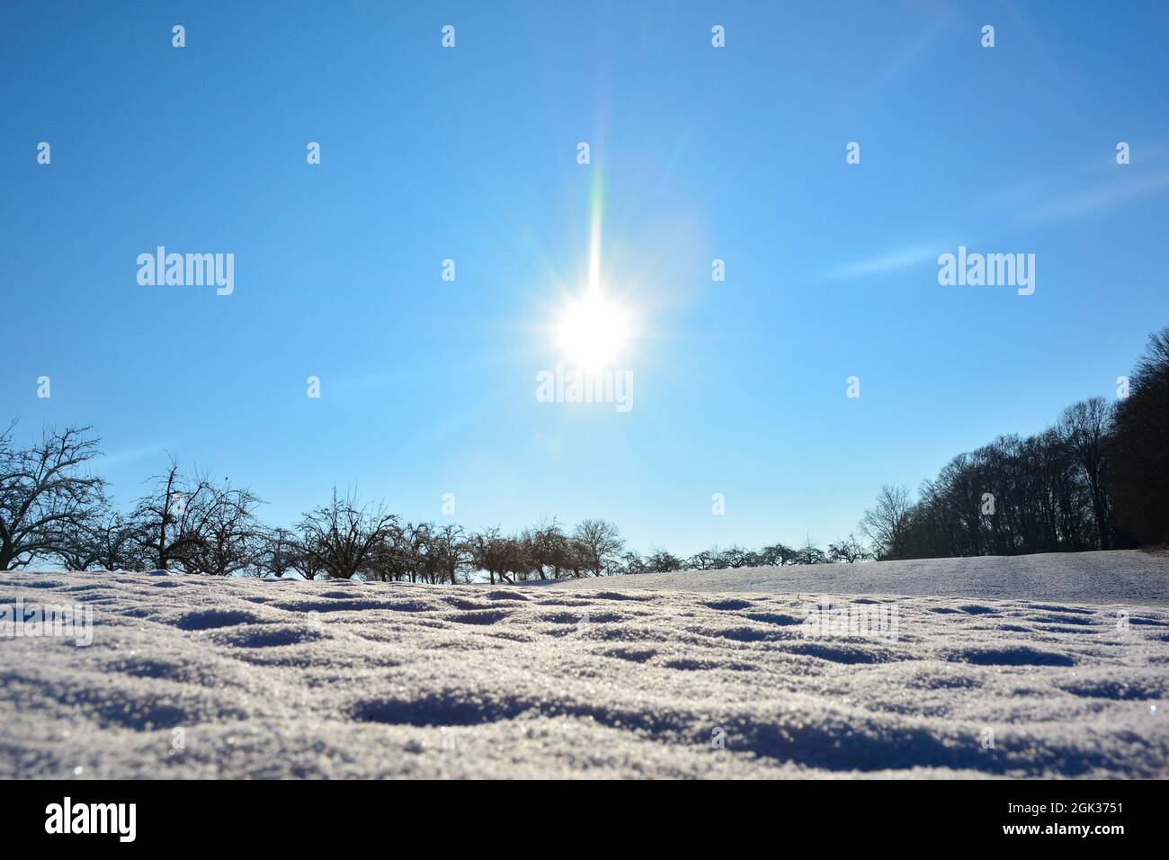 Molta neve in un paesaggio con alberi sullo sfondo Foto Stock